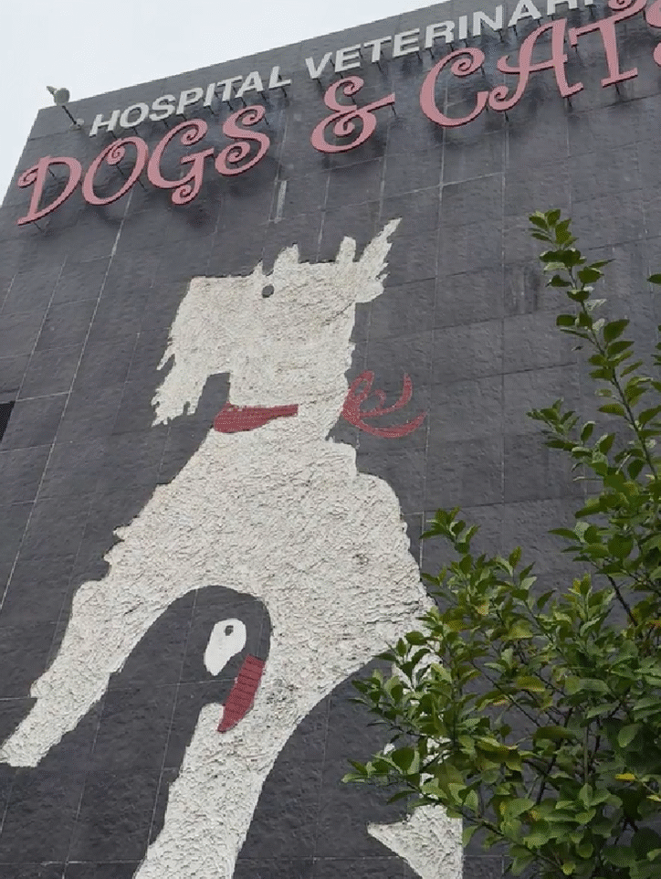 Esterilización_D&C